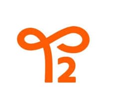 T2